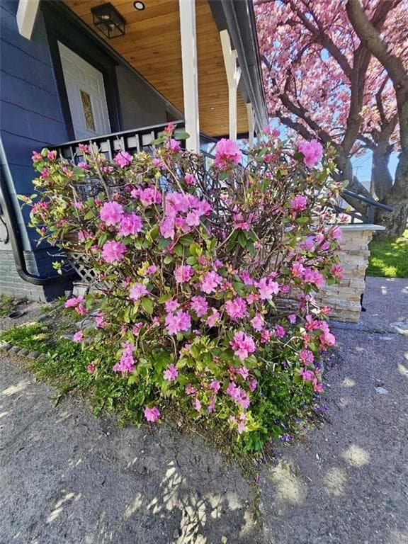 571 Winter Street - Photo 2