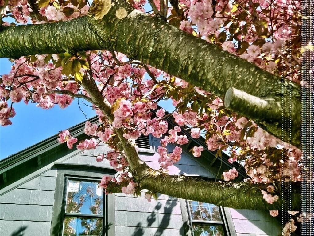 571 Winter Street - Photo 3