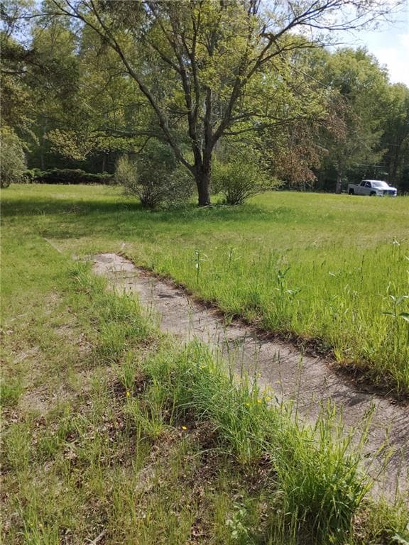 28 Beaver River Schoolhouse Road - Photo 3