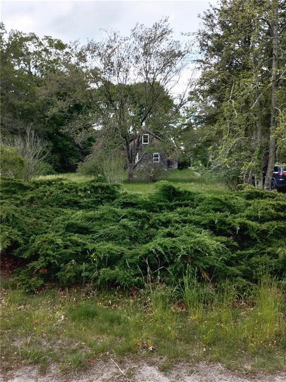 28 Beaver River Schoolhouse Road - Photo 4