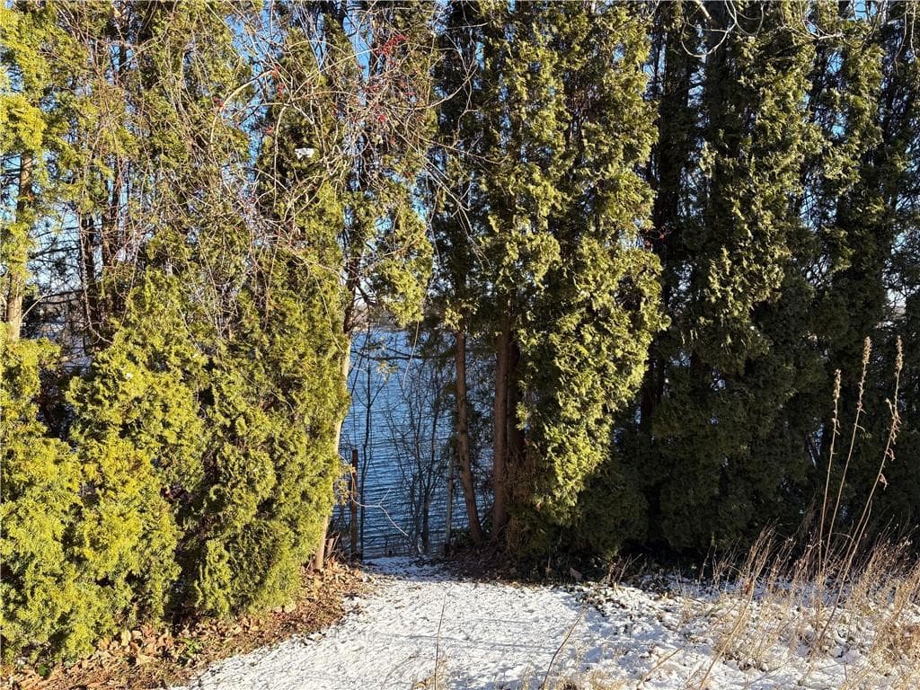 351 COUNTY Road - Photo 5