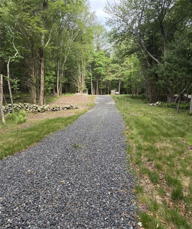 55 Pheasant Drive - Photo 5