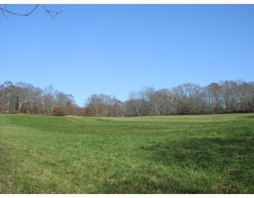 536 Highland Road - Photo 1