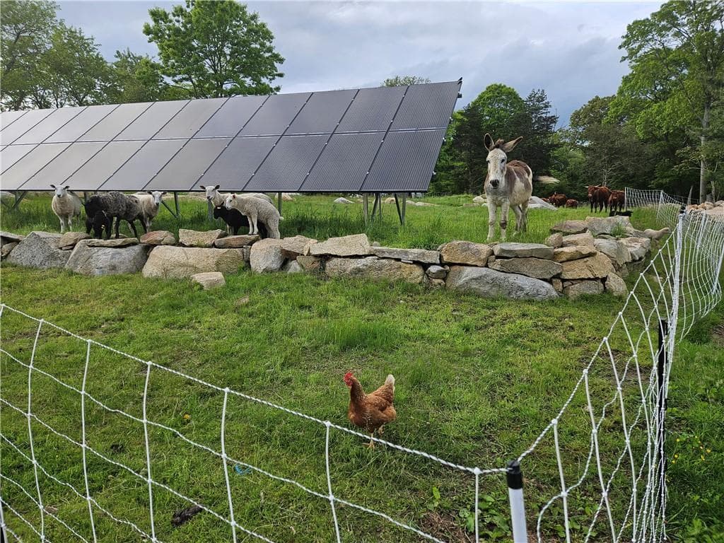241 Cornell Road - Photo 2