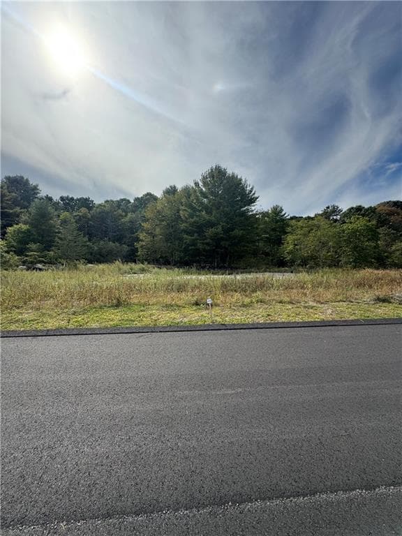 0 Jackson Pond LOT 24 Road - Photo 2