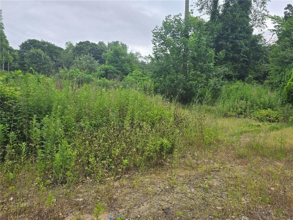 15 Wilder Avenue - Photo 4