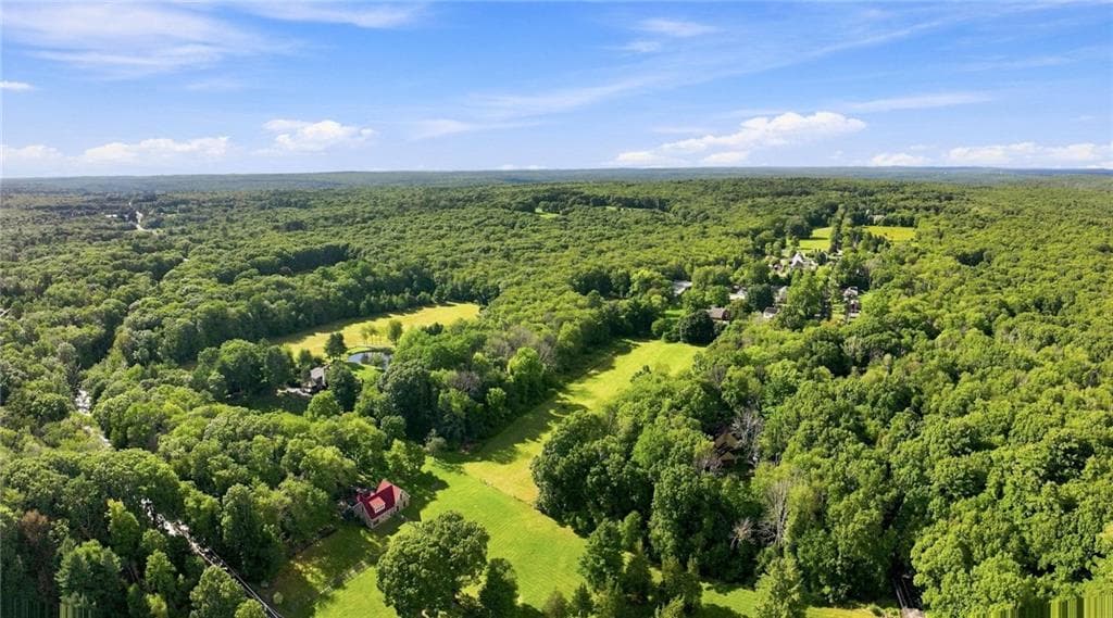 835 Snake Hill Road - Photo 4