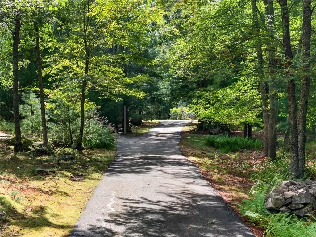 10 Pinecrest Road - Photo 5