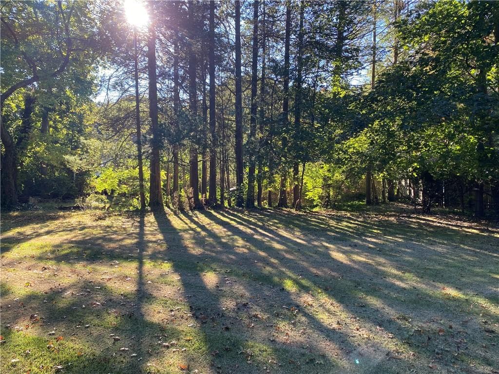 0 Shirley Street - Photo 4