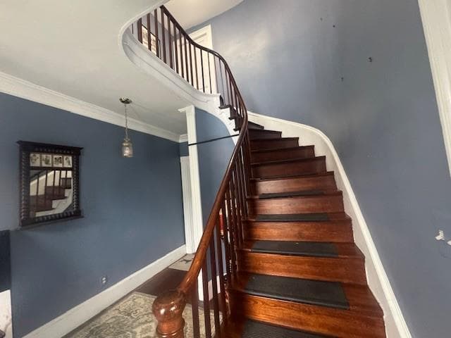 52 Manning Street - Photo 2