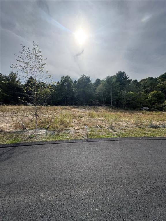 0 Jackson Pond LOT 25 Road - Photo 2