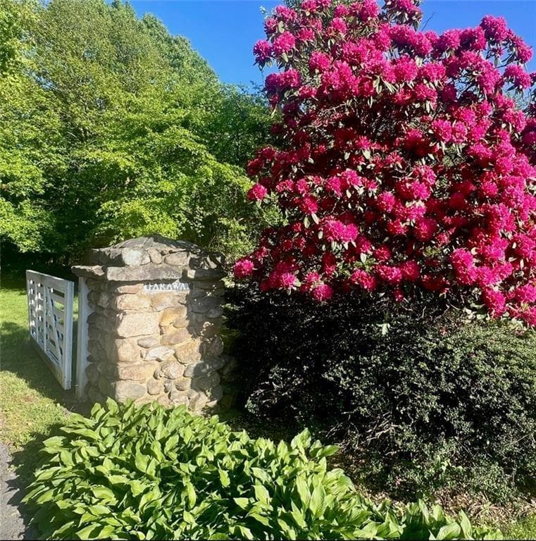 4458 Tower Hill Road - Photo 5