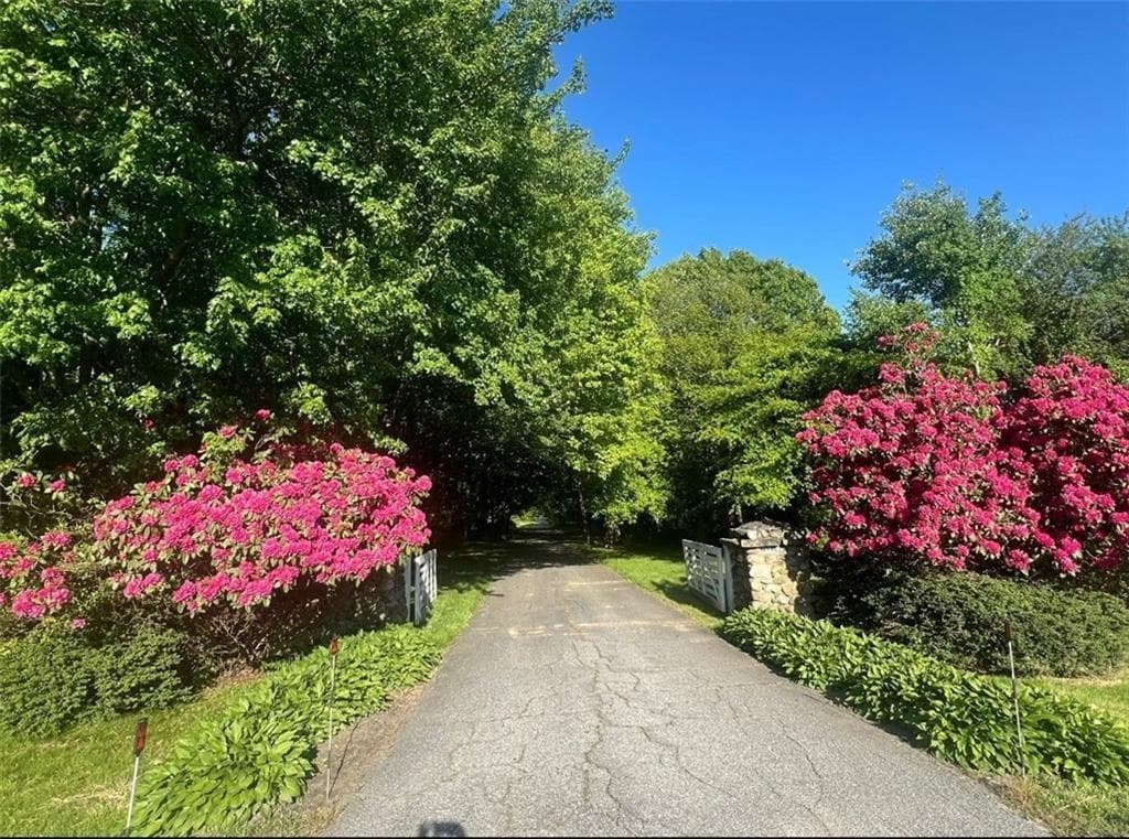 4458 Tower Hill Road - Photo 4